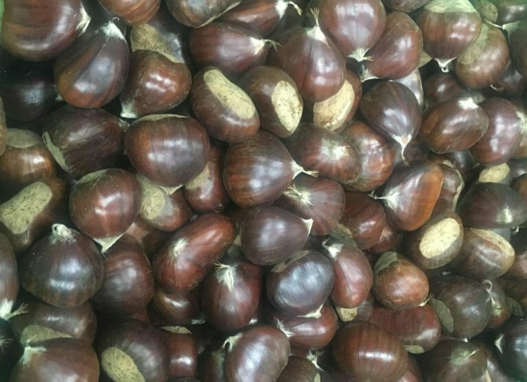 Chestnuts trade and storage